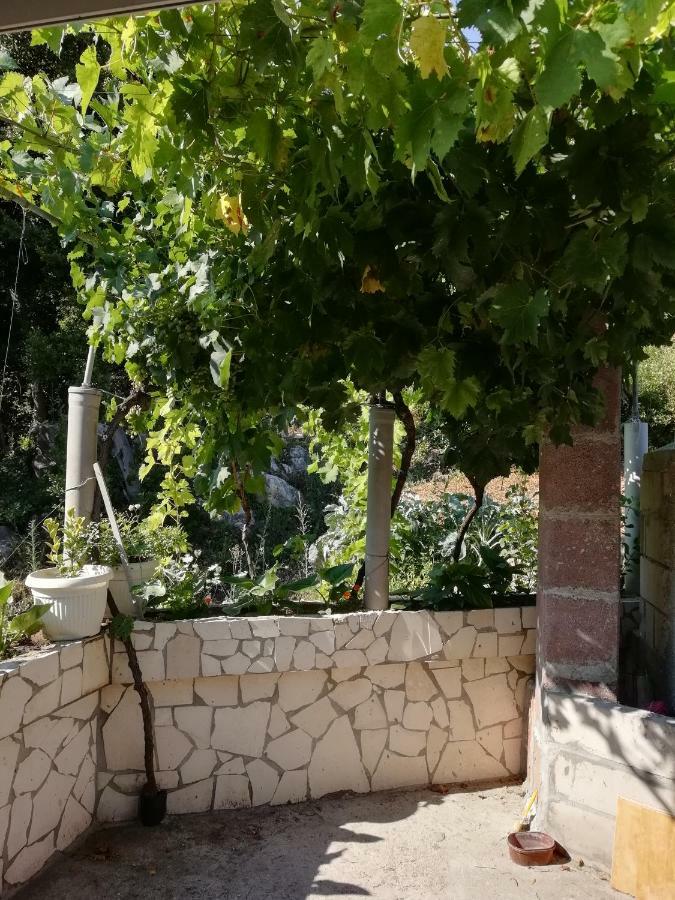 Apartman Radic Ston Buitenkant foto